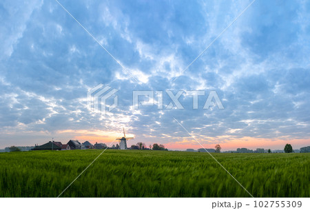 An Windmill in the morning 102755309