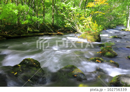 【青森県】新緑の奥入瀬渓流(三乱の流れ) 【青森県】新緑の奥入瀬渓流(三乱の流れ) 102756339