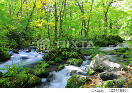 【青森県】新緑の奥入瀬渓流（阿修羅の流れ） 102756364