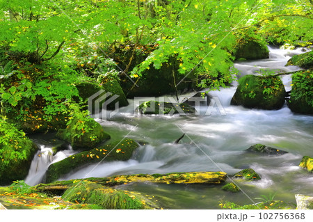 【青森県】新緑の奥入瀬渓流(阿修羅の流れ) 【青森県】新緑の奥入瀬渓流(阿修羅の流れ) 102756368