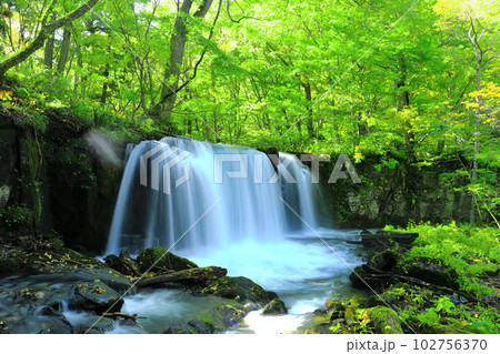 【青森県】新緑の奥入瀬渓流（銚子大滝） 102756370