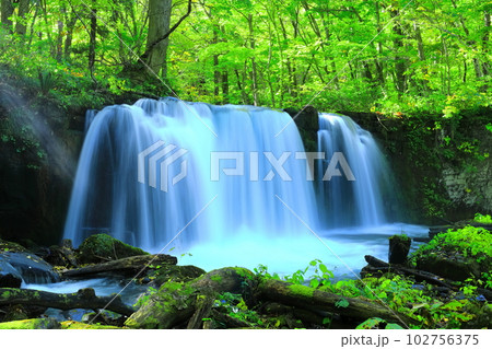 【青森県】新緑の奥入瀬渓流(銚子大滝) 【青森県】新緑の奥入瀬渓流(銚子大滝) 102756375