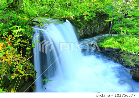 【青森県】新緑の奥入瀬渓流（銚子大滝） 102756377