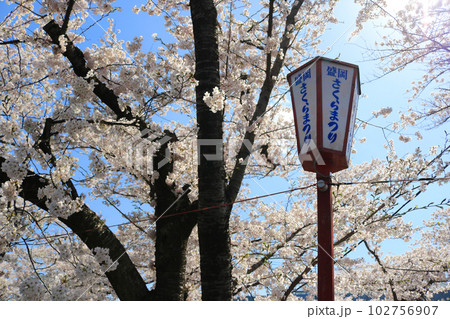 盛岡さくらまつり、イメージ 盛岡さくらまつり、イメージ 102756907