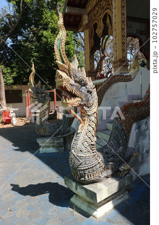 タイ 寺院の神龍 タイ 寺院の神龍 102757029