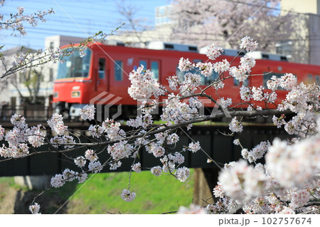 桜と名鉄電車(イメージ) 102757674