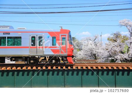 桜と名鉄電車 桜と名鉄電車 102757680