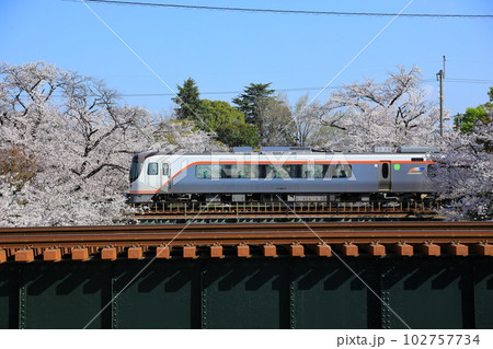 新境川の桜並木を通過する新型特急ひだ 新境川の桜並木を通過する新型特急ひだ 102757734