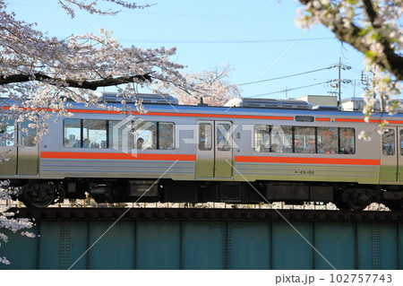 桜並木の橋りょうを通過する高山本線・普通列車 102757743