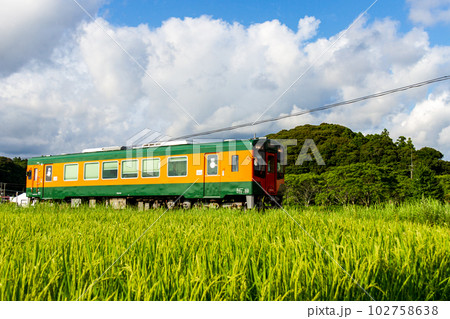 静岡県掛川市細谷　天竜浜名湖鉄道と沿線の風景 102758638
