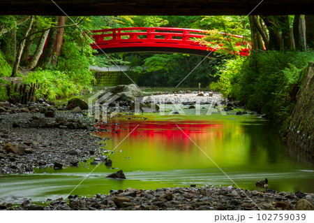 静岡県周智郡森町一宮 小國神社と境内の風景 静岡県周智郡森町一宮 小國神社と境内の風景 102759039