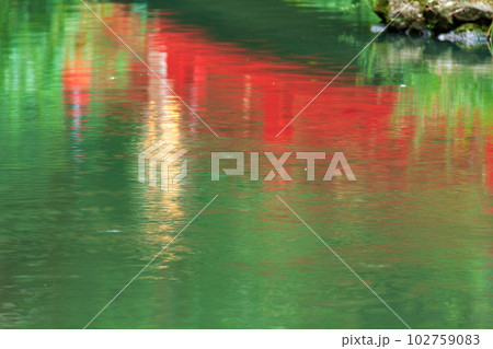 静岡県周智郡森町一宮 小國神社と境内の風景 静岡県周智郡森町一宮 小國神社と境内の風景 102759083