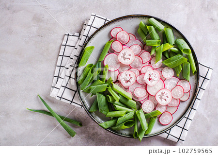 Close up of fresh vitamin salad of radish and green onions on a plate on the table top view 102759565