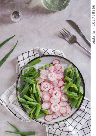 Spring homemade radish and chives salad on a plate on the table top and vertical view 102759566