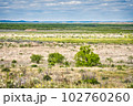 A breathtaking landscape of endless grassy plains dotted with marsh and wetland, extending to the horizon beneath a beautiful sky in San Angelo State Park, Texas. 102760260