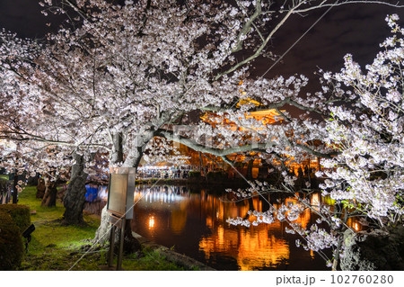 《東京都》桜満開の不忍池・春の上野公園 102760280