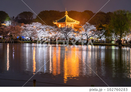 《東京都》桜満開の不忍池・春の上野公園 《東京都》桜満開の不忍池・春の上野公園 102760283