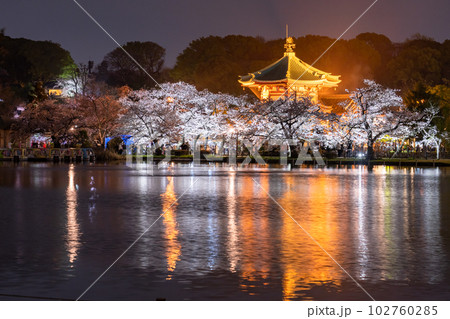 《東京都》桜満開の不忍池・春の上野公園 102760285
