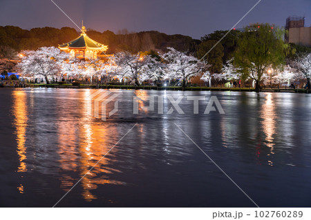 《東京都》桜満開の不忍池・春の上野公園 《東京都》桜満開の不忍池・春の上野公園 102760289