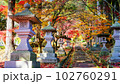 清水寺 紅葉した参道 102760291