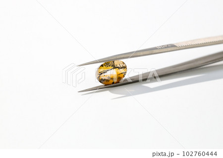 ピンセットとデンドライトクォーツ 102760444