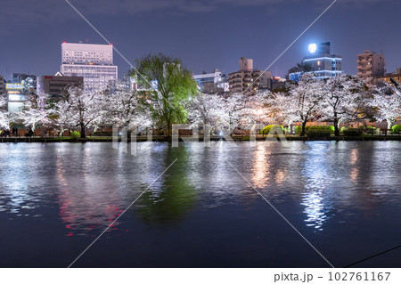 《東京都》桜満開の不忍池・春の上野公園 102761167