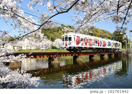 大池遊園を走る電車(和歌山電鐵貴志川線)　【和歌山県紀の川市貴志川町】 102761942