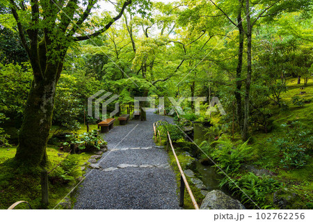 京都嵯峨嵐山の夏　世界遺産　天龍寺　曹源池庭園 102762256