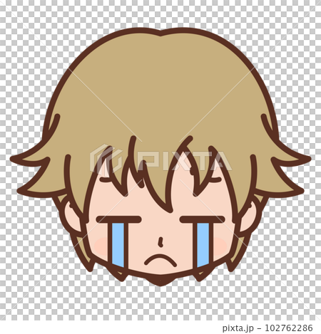 顔・表情アイコン（泣く・悲しい・ショック・悔しい）/男性・若い【5】 102762286