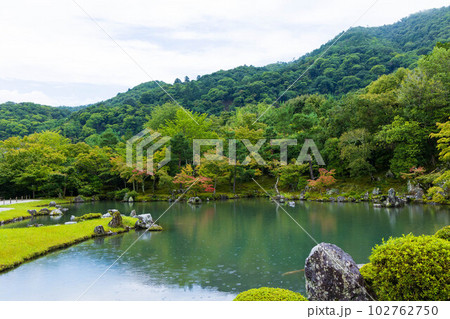 京都嵯峨嵐山の夏　世界遺産　天龍寺　曹源池庭園 102762750