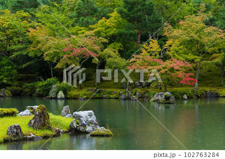 京都嵯峨嵐山の夏　世界遺産　天龍寺　曹源池庭園 102763284