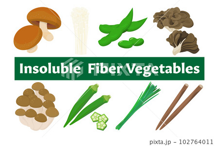 不溶性食物繊維の野菜のベクターイラスト。 102764011