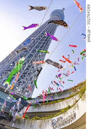 東京都墨田区 東京スカイツリーと鯉のぼり 東京都墨田区 東京スカイツリーと鯉のぼり 102764169