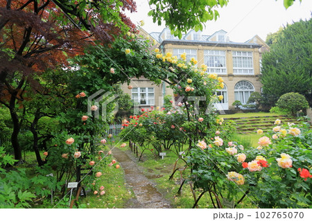 鳩山会館　　東京都文京区 102765070