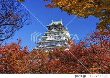 大阪城天守閣　紅葉の季節　西の丸庭園から望む 102765200