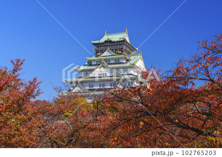 大阪城天守閣　紅葉の季節　西の丸庭園から望む 102765203