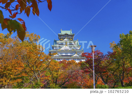 大阪城天守閣　紅葉の季節　西の丸庭園から望む 102765210