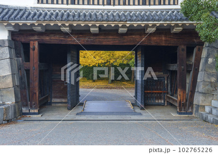 大阪城　青屋門　黄金色に輝くイチョウの葉 102765226