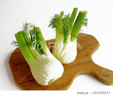 ヘルシーなイタリア野菜　ウイキョウ　フェンネル 102765871