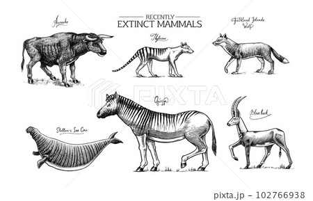 Extinct animals Outline Drawing Images Pictures