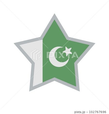 星形のパキスタン国旗アイコン。ベクター。