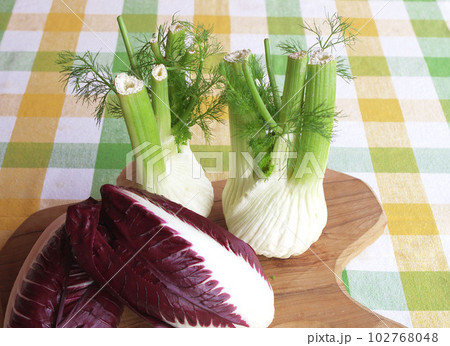 食卓テーブルのイタリア野菜 チコリーとフェンネル 102768048