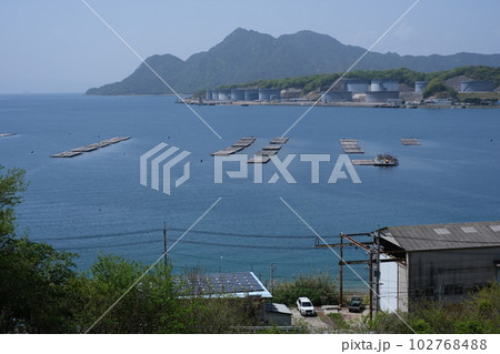 能美町鹿川から眺めた大黒神島の景色 能美町鹿川から眺めた大黒神島の景色 102768488