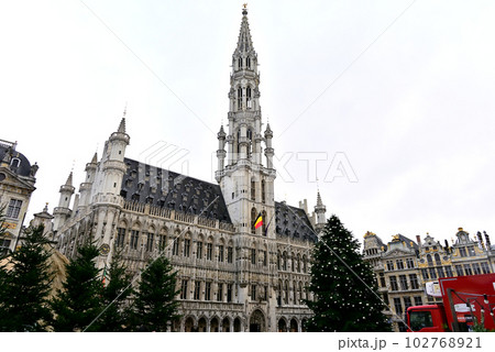 ブリュッセル市庁舎とクリスマスツリー 102768921