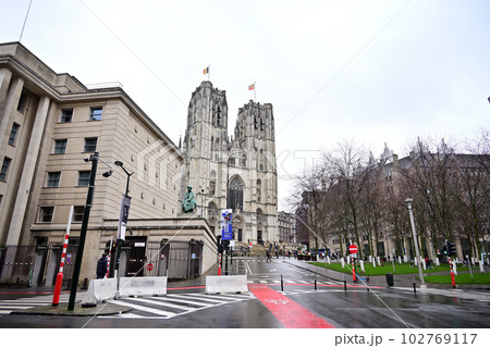 ブリュッセルのサン・ミッシェル大聖堂 ブリュッセルのサン・ミッシェル大聖堂 102769117