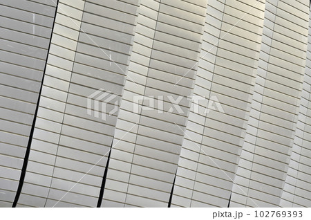 Modern architecture pattern of a stadium 102769393