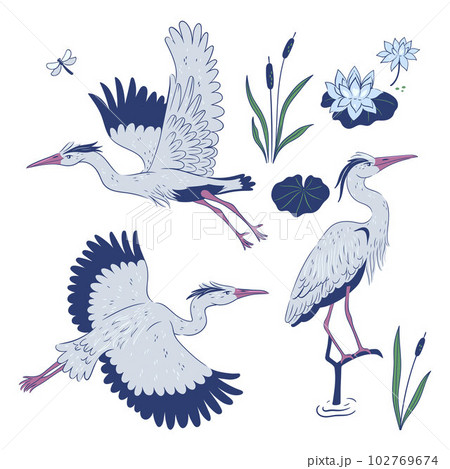 Heron set isolated on white background. Vector graphics. Heron set isolated on white background. Vector graphics. 102769674
