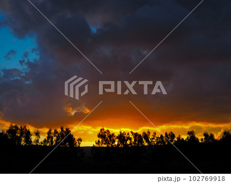 林の奥の夕暮れ時 102769918