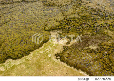 Aerial view of Eldhraun lava field in Iceland 102770220