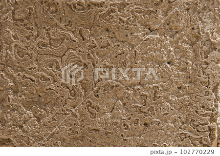 Antique eroded concrete wall texture 102770229